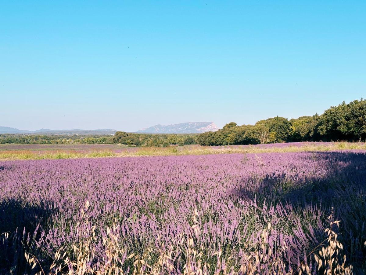Maison Francoise Bed and Breakfast Aix-en-Provence Exteriör bild